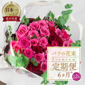 yӂ邳Ɣ[Łzyցz񐔂Iׂ KN AWg ԑ v~A 30{ (50cm) 6 12 6 12 ͂ ŏ㋉ u[P KN [Y  Ϗܗp v[g  Mtg a 
