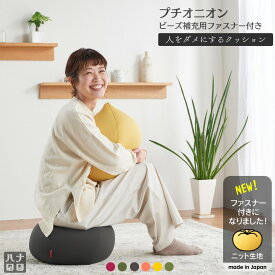 【ふるさと納税】ハナロロ ビーズクッション プチ オニオン 人をダメにするクッション 話題 お試しかわいい 新生活 おしゃれ 雑貨 インテリア 癒し お手軽 日本産 国産