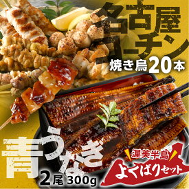 【ふるさと納税】幻の青うなぎ ＆ 名古屋コーチン セット うなぎ 訳あり 蒲焼 2尾 鶏三和 名古屋コーチン 焼き鳥 串 5種盛り 20本鰻 蒲焼き 最高級 長蒲焼 特大サイズ 楽天限定 土用丑の日 ひつまぶし 冷凍 簡単調理 惣菜 地鶏 焼鳥 やきとり unagi 送料無料 20000円 2万円