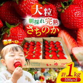 【ふるさと納税】【先行予約/2026年1月上旬より順次発送】 いちご さちのか 500g×2パック 計1kg 【配達不可：離島】 イチゴ フルーツ 果物 苺 愛西市 / 平野苺 [AEAY001]