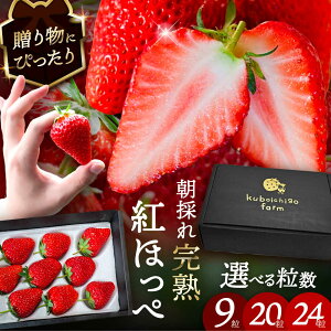 yӂ邳Ɣ[ŁzyIׂzys\z _N12菇^ gق 9 / 20 / 24  ʕ t[c s / 䕔_ yzBsFkCEEz[AECJ008]