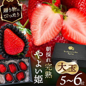 yӂ邳Ɣ[Łzys\z _N12菇^ qʁr 悢P@5`6x ʕ  t[c s / 䕔_ yzBsFkCEEz[AECJ015]