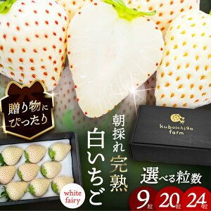 yӂ邳Ɣ[ŁzyIׂzys\z _N1菇^ @White Fairy 9 / 20 / 24s / 䕔_ yzBsFkCEEz[AECJ016]