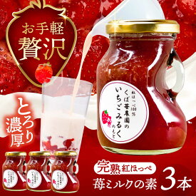 【ふるさと納税】いちごミルクの素 3本セット 果物 フルーツ 紅ほっぺ 愛西市 / くぼ苺農園 【配達不可：離島】[AECJ024]