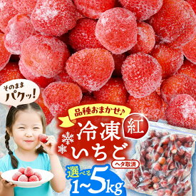 【ふるさと納税】＼選べる内容量／ 冷凍苺 1kg〜5kg いちご 果物 フルーツ 苺 イチゴ 紅ほっぺ やよい姫 かんな姫 愛西市 / くぼ苺農園 【配達不可：離島】[AECJ025]