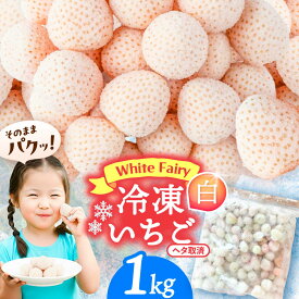 【ふるさと納税】冷凍白いちご 1kg 果物 フルーツ いちご 愛西市 / くぼ苺農園 【配達不可：離島】[AECJ028]
