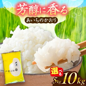 【ふるさと納税】＼選べる内容量・発送月／ あいちのかおり 白米 5kg / 10kg お米 ご飯 愛西市 / 戸倉トラクター 【配達不可：離島】[AECS001]