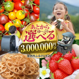 yӂ邳Ɣ[ŁzyƂIׂz msӂ邳ƃMtg 300~ { XC[c Vv[ Ƃ Mtg[AECY020]