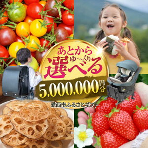 yӂ邳Ɣ[ŁzyƂIׂz msӂ邳ƃMtg 500~ { XC[c Vv[ Ƃ Mtg[AECY022]