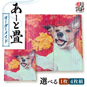 yӂ邳Ɣ[Łz_Iׂ閇^EɂЂƂ I[_[Ch [Ə   s / LЂȂ[AEDC003]