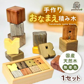 【ふるさと納税】無着色のおなまえ積み木 オーダー つみき 名入れ 愛西市 / 木工処Pomsfactory[AEDI002]