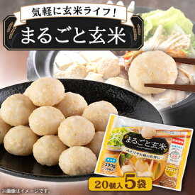 【ふるさと納税】〈冷凍〉まるごと玄米(20個入り)5袋でお届け【配送不可地域：離島】【1430019】
