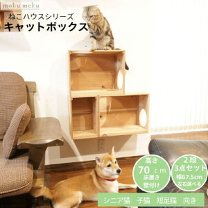yӂ邳Ɣ[Łzu^[EǕtLbgEH[NŎgLbg{bNX@2i3_Zbg(オ)y1563384z