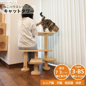yӂ邳Ɣ[Łzx`̗lɍĔLƋY鐘u^Lbg^[@Iׂ镝2ނ̕60cm@^Cv3BSy1563442z