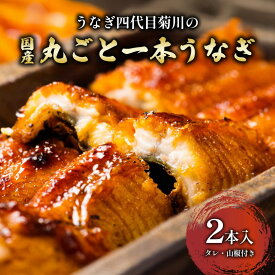 【ふるさと納税】うなぎ四代目菊川の「丸ごと一本鰻」2本入_ うなぎ 鰻 ウナギ 蒲焼き 蒲焼 かば焼き タレ 山椒 真空包装 真空 惣菜 おかず おつまみ 土用 丑の日 うな重 うな丼 ひつまぶし 贈答 ギフト プレゼント 冷凍 愛知県 送料無料 【配送不可地域：離島】【1228655】