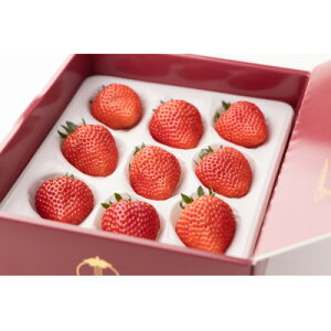 【ふるさと納税】【産直】完熟よつぼし『四重奏プレミアム』 愛知県みよし市 【配送不可地域:離島・北海道・沖縄県】【1284759】