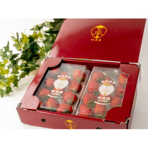 【ふるさと納税】【産直】完熟よつぼし『四重奏』 愛知県みよし市 4パック(約1kg)【配送不可地域:離島・北海道・沖縄県】【1369815】