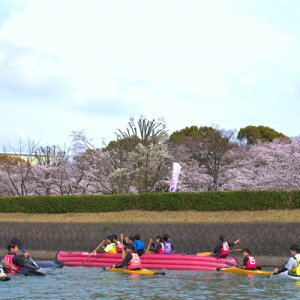 yӂ邳Ɣ[Łzy2026N328(y)E29()JÁz@ԌJk[̌(2l)y1586929z