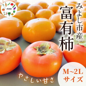 yӂ邳Ɣ[ŁzΏr̕xL`@3kg(16)y1663858z