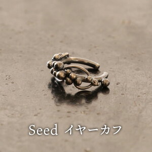 yӂ邳Ɣ[ŁzWG[ seed C[Jt  Vo[925 ANZT[