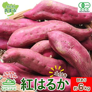 yӂ邳Ɣ[Łzy󂠂Eytz܂ g͂邩 퉷 6kg mEtN ① AJx _ _JAS _ L@JAS L@͔| I[KjbN  VN  { G _ ct