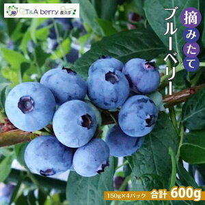 yӂ邳Ɣ[ŁzyE݂ătbVzꗱꗱĂ˂ɓEݎu[x[𐶂̂܂܂͂@600g(150g×4pbNj | t[c ʕ  Hi lC  