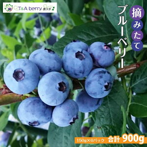 yӂ邳Ɣ[ŁzyE݂ătbVzꗱꗱĂ˂ɓEݎu[x[𐶂̂܂܂͂@900g(150g×6pbNj | t[c ʕ  Hi lC  