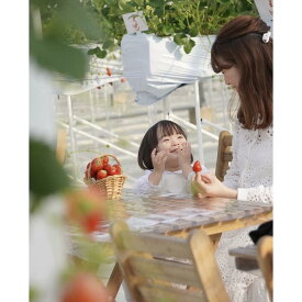 【ふるさと納税】すまいるベリーズ長久手　利用券15,000円分 すまいるベリーズ 長久手 利用券 15000円分 紅ほっぺ 章姫 ゆめのかカフェ スイーツ ギフト プレゼント | 苺 イチゴ いちご ベリー デザート いちご狩り スイーツ フルーツ 食品 体験 人気 おすすめ 送料無料