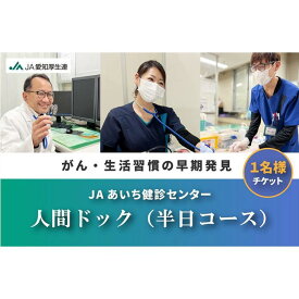 【ふるさと納税】【JAあいち健診センター】人間ドック （半日コース） 1名様 チケット