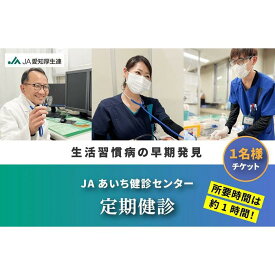 【ふるさと納税】【JAあいち健診センター】定期健診 1名様 チケット