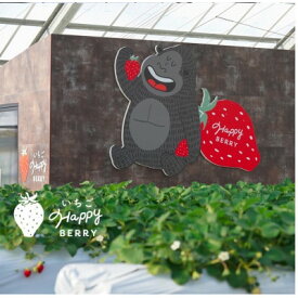 【ふるさと納税】愛知県東郷町いちご農園いちごHappyBerryの冷凍いちご〈訳あり)【配送不可地域：離島】【1470510】