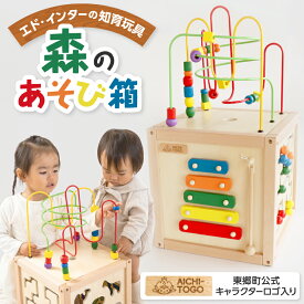 【ふるさと納税】東郷町【公式キャラクターロゴ入り】森のあそび箱 エド・インターの知育玩具_ 知育玩具 玩具 おもちゃ 天然木 人気 おすすめ 送料無料 贈答 ギフト プレゼント 【1344602】