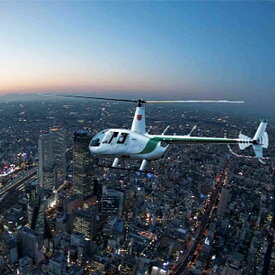 【ふるさと納税】名古屋ヘリコプター 遊覧飛行【ゴールド】15分【1134300】