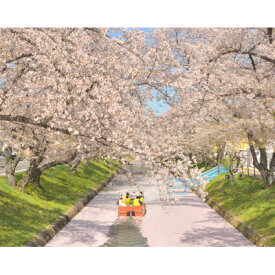 【ふるさと納税】大口町五条川遊覧船　親子ペア乗船券(引換券)【1704691】