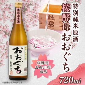 【ふるさと納税】おおぐち【1343080】