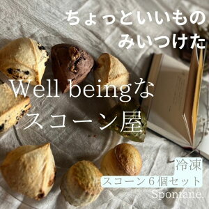 yӂ邳Ɣ[Łz܂XR[Zbg XR[ ܂ Zbg lߍ킹 Mtg Ⓚ  َq Ăَq f m }K@͂F2025N712026N730܂