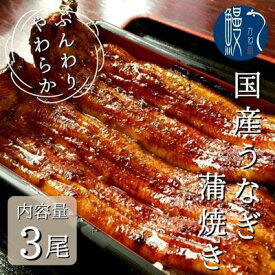 【ふるさと納税】うなぎ蒲焼き　3尾入　国産　三河一色産　【 和食 惣菜 うなぎの蒲焼 真空パック 皮が柔らかい 肉厚 小骨が少ない つまみ お酒のあて 】