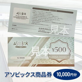 【ふるさと納税】アソビックス商品券10000円分　【チケット 商品券 】