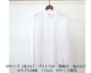 yӂ邳Ɣ[ŁzNo.065 WATAKUMI@Vc@HIYOKUiMj ^ mؖ 䗃 L{^ aN z Y JWA jZbNX  蕨  m
