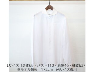 yӂ邳Ɣ[ŁzNo.066 WATAKUMI@Vc@HIYOKUiLj ^ mؖ 䗃 L{^ aN z Y JWA jZbNX  蕨  m