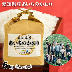 【ふるさと納税】No.168 愛知県産あいちのかおり　6kg／ お米 白米 精米 大粒 ごはん 送料無料 愛知県