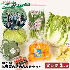 【ふるさと納税】 【3ヶ月定期便】今が旬！お野菜の詰め合わせセット ／ 旬野菜 定期便 詰め合わせ 野菜セット 新鮮 冷蔵 春 夏 秋 冬 8〜10種 おまかせ 食材 ボックス 家庭料理 野菜レシピ お取り寄せ 送料無料 愛知県 No.215