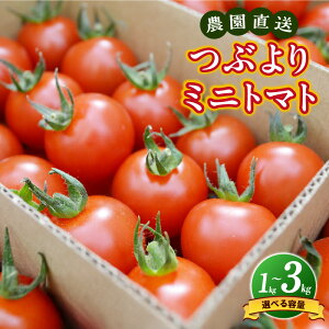 yӂ邳Ɣ[Łzys\E2026N1甭z_ Ԃ ~jg}gyIׂe 1kg / 2kg / 3kgzyԌzƂ܂ v`g}g ܂  Ƃꂽ ̂ꂽ Y m 