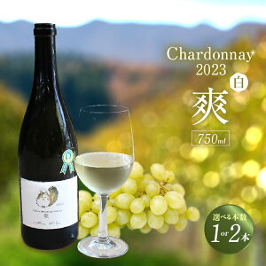 yӂ邳Ɣ[ŁzChardonnay 2023 u C 750mlyIׂ{i1{E2{jzY̍knJő؂ɈĂꂽVhl瑢CłB Vhl Y h