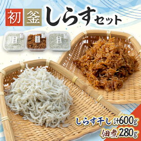 【ふるさと納税】 しらす 880g ( しらす 300g × 2 パック 佃煮 280g ) セット 釜揚げ 初釜 減塩 無添加 無着色 冷凍 愛知県 南知多町 しらす しらす干し ちりめん シラス ご飯 ごはん 丼 料理 国産 新鮮 カネ成 人気 おすすめ 小分け 【配送不可地域：離島】