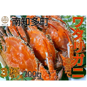 yӂ邳Ɣ[Łz ^Kj 700g 3t Ⓚ {C^Kj nI CN VN  C̍K CY V[t[hGEG m myzsnFkCEꌧEzy1260353