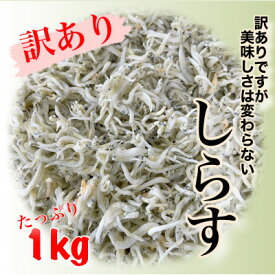 【ふるさと納税】 訳あり 釜揚げしらす 1kg 冷凍 愛知県 南知多町 釜揚げ しらす 魚 さかな ご飯 ごはん 日間賀島 おすすめ