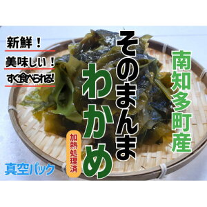 yӂ邳Ɣ[Łz ^ ̂܂ 킩 100g × 8 pbN Ⓚ ^pbN J X` T_ CN VN  C̍K CY hg Y V[t[hGEG m m