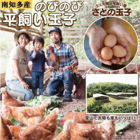 【ふるさと納税】【南知多産】とりのさと農園の平飼い玉子30個【配送不可地域：離島】【1361372】