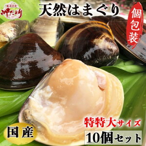 �y�ӂ邳�Ɣ[�Łz �e�ʑI�ׂ� �嗱 �V�R�͂܂��� ������T�C�Y 170g�O��× 5�`10�� ���M������ � ������� ���m�� ��m���� �l�C �������� �ȒP ���� �֗� ��